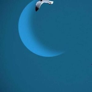 Meet your Posher, Martin